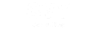 svyconsulting.com